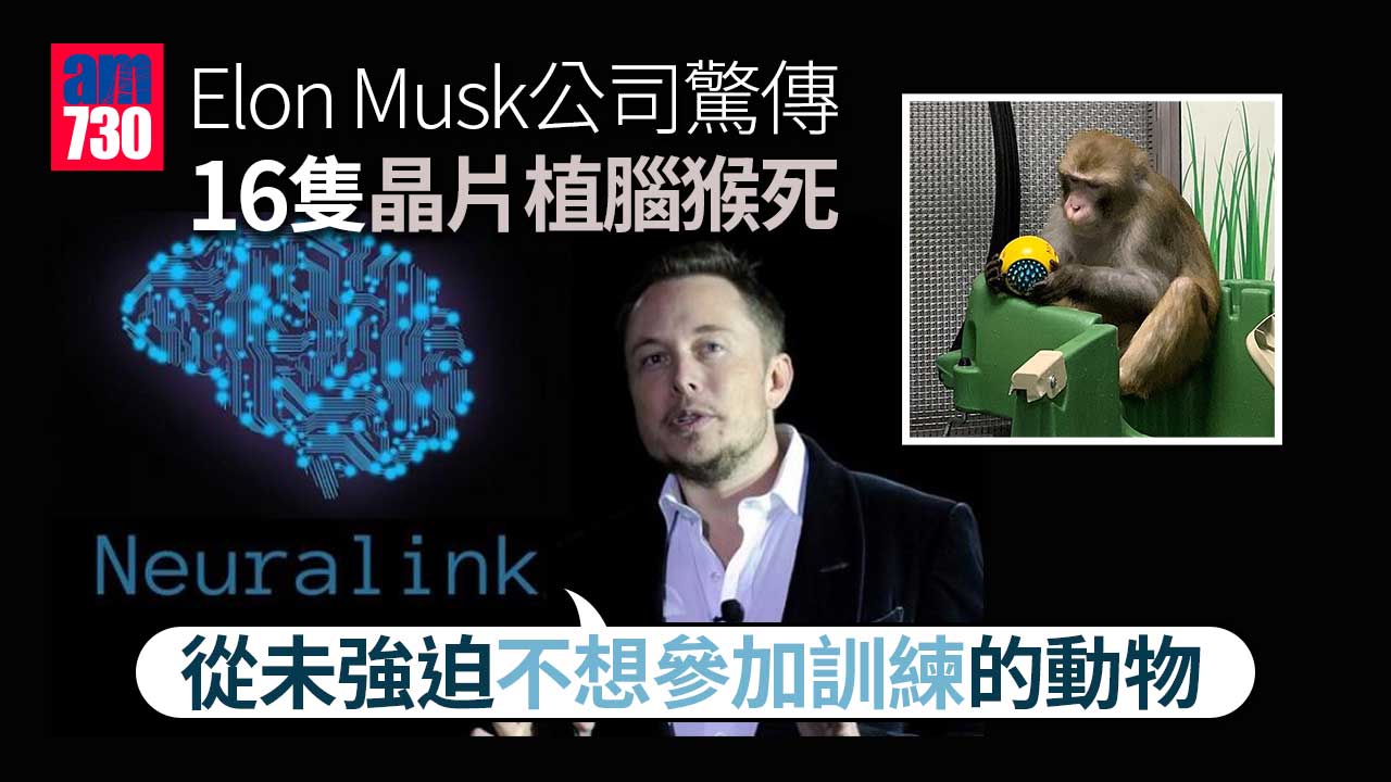Elon Musk公司驚傳16隻晶片植腦猴死 Neuralink聲明：8隻安樂死