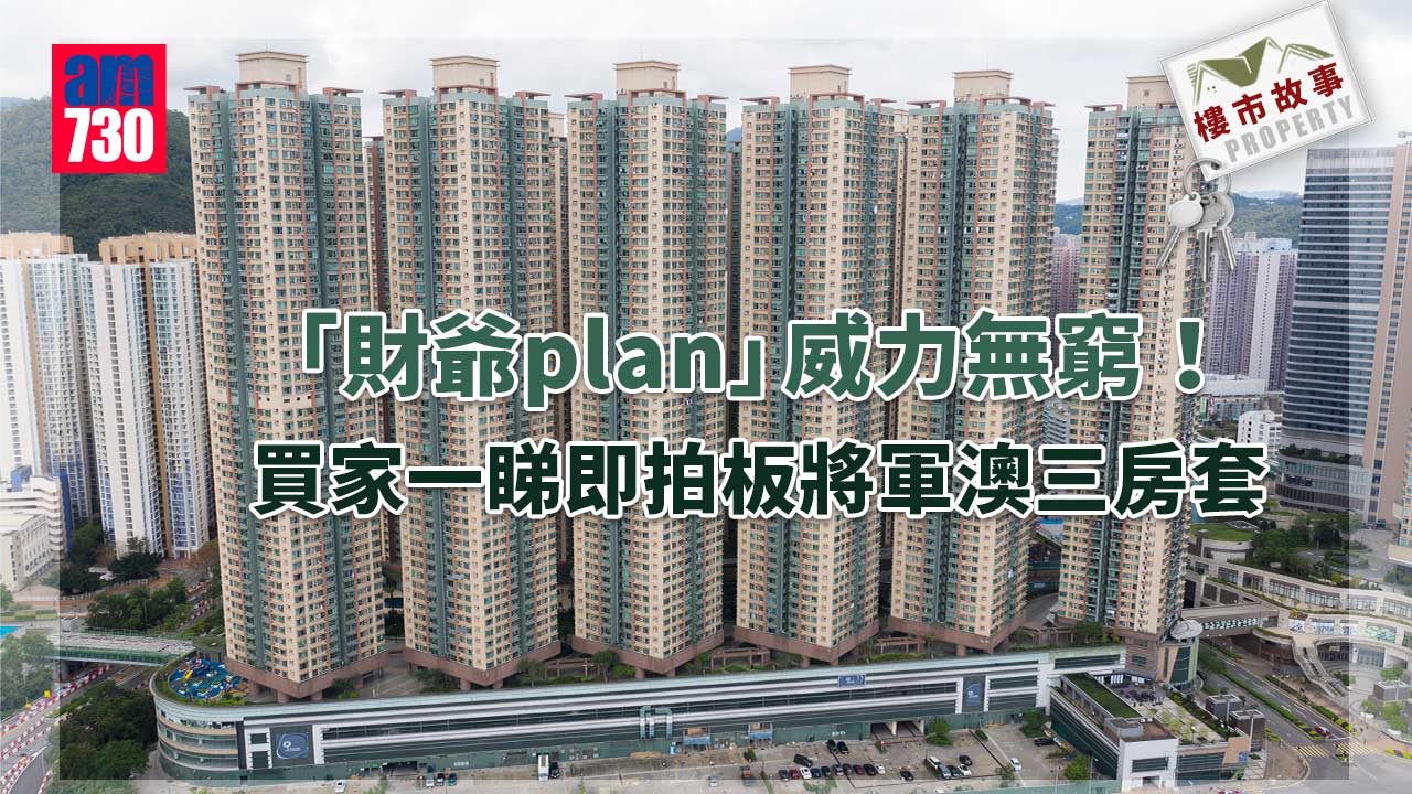 樓市故事｜「財爺plan」威力無窮！買家一睇即拍板將軍澳三房套