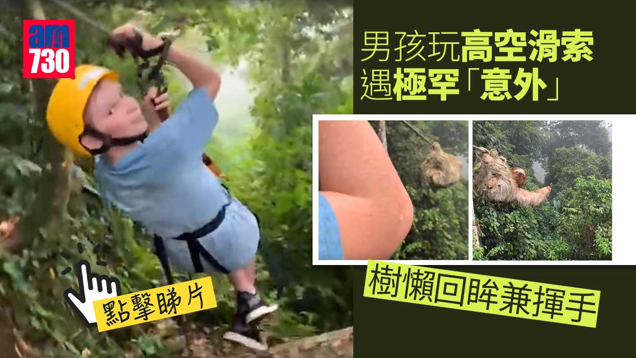 男孩玩高空滑索遇極罕「意外」　樹懶回眸兼揮手