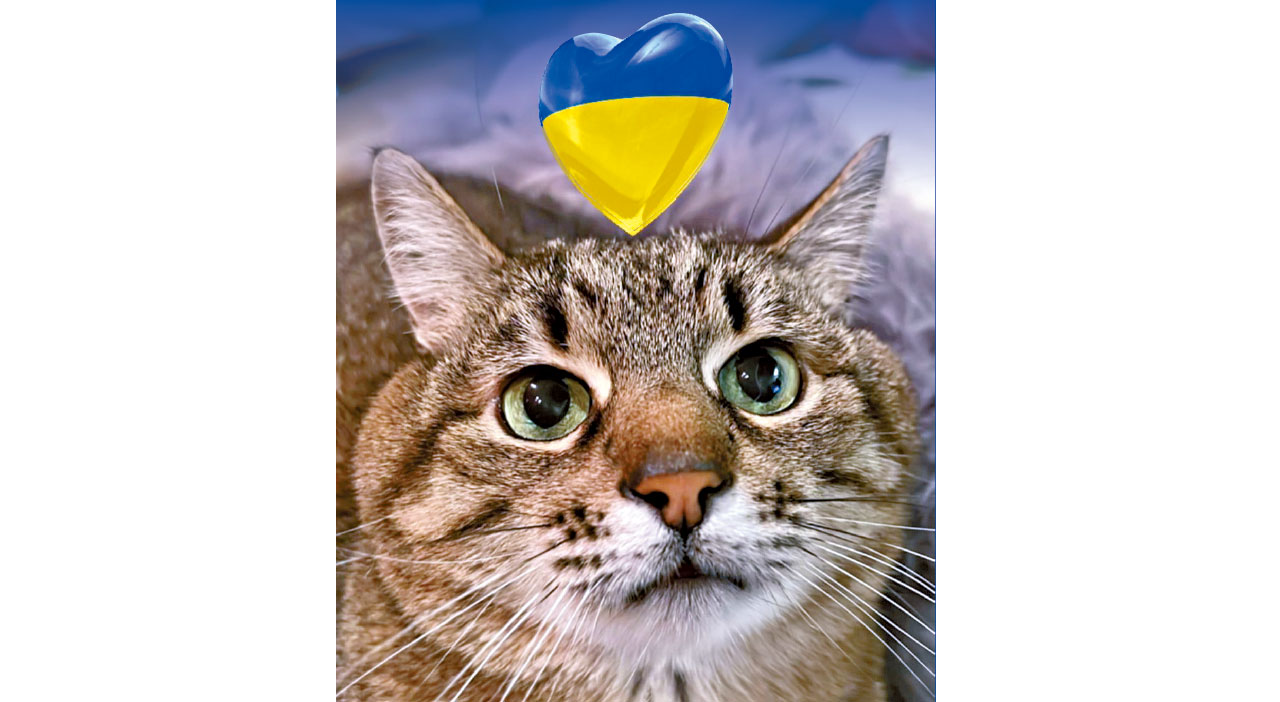 數據科普｜大眾網民參與的「第一次世界在線大戰」