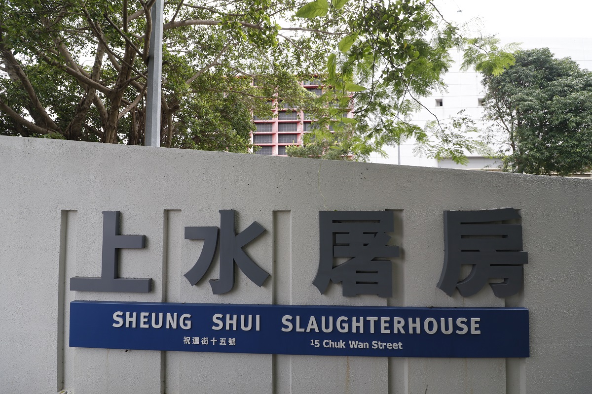 上水屠房明起恢復服務 活豬供應料周二回復正常水平