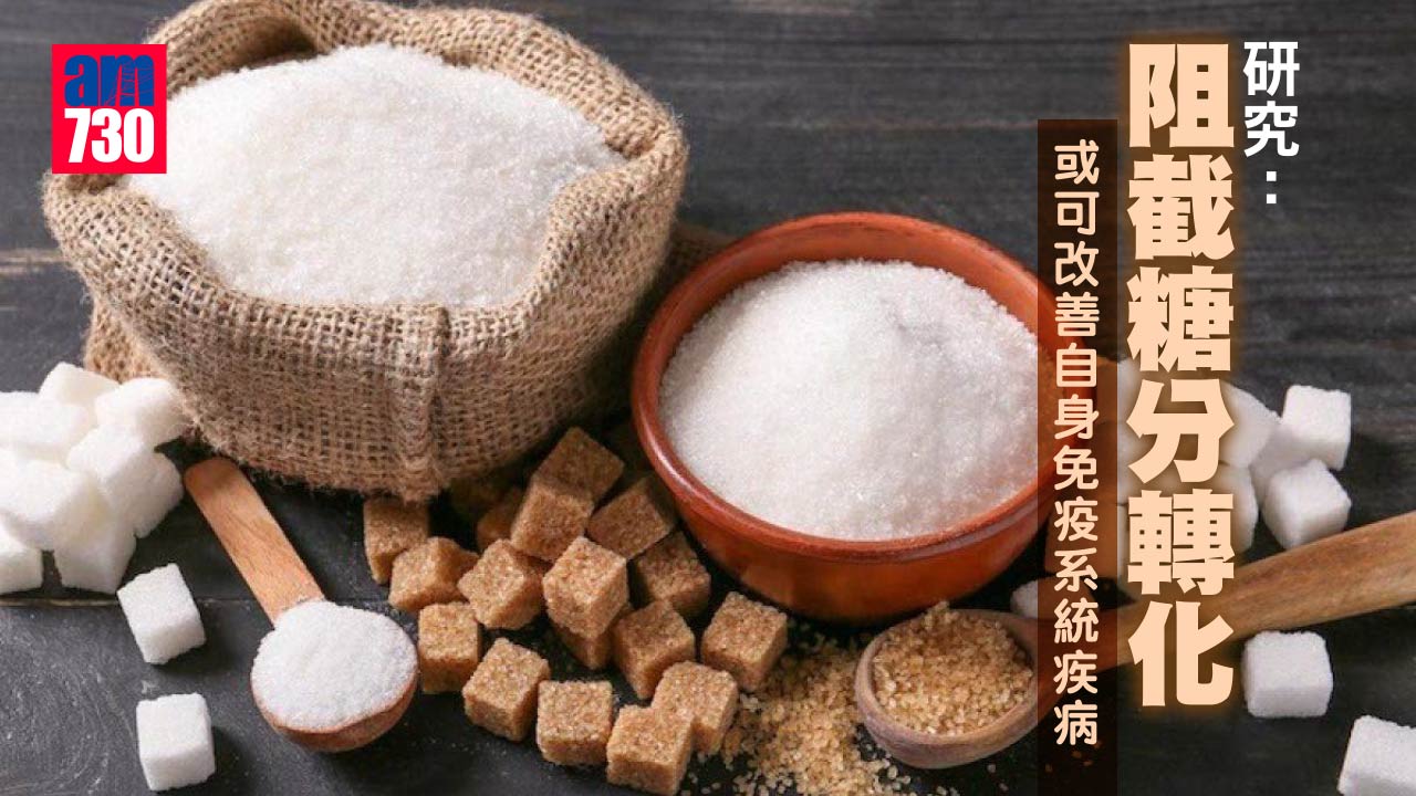 研究：阻截糖分轉化 或可改善自身免疫系統疾病