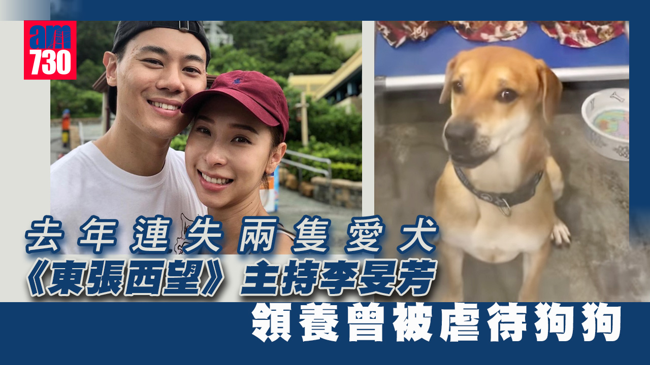 李旻芳去年連失兩愛犬 今領養曾被虐犬隻