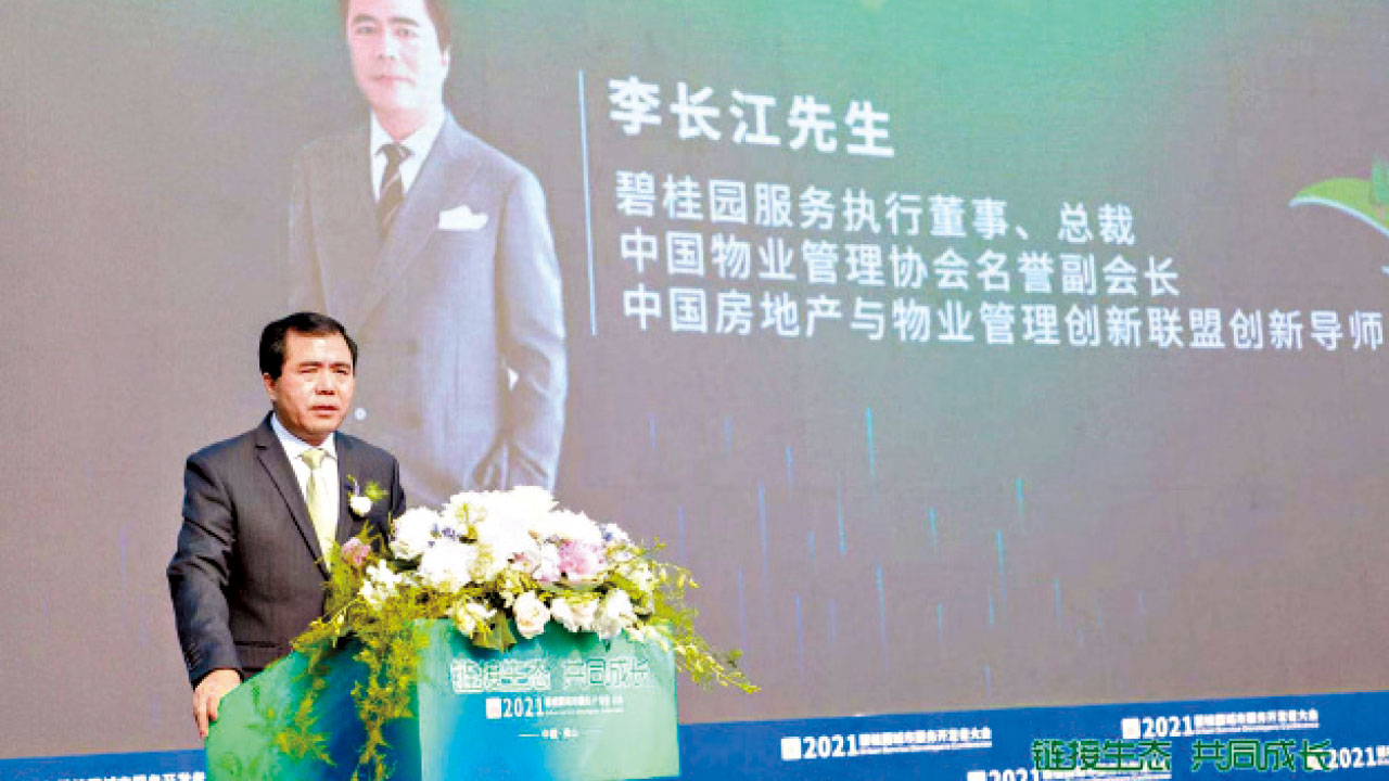 碧服增收不增利？