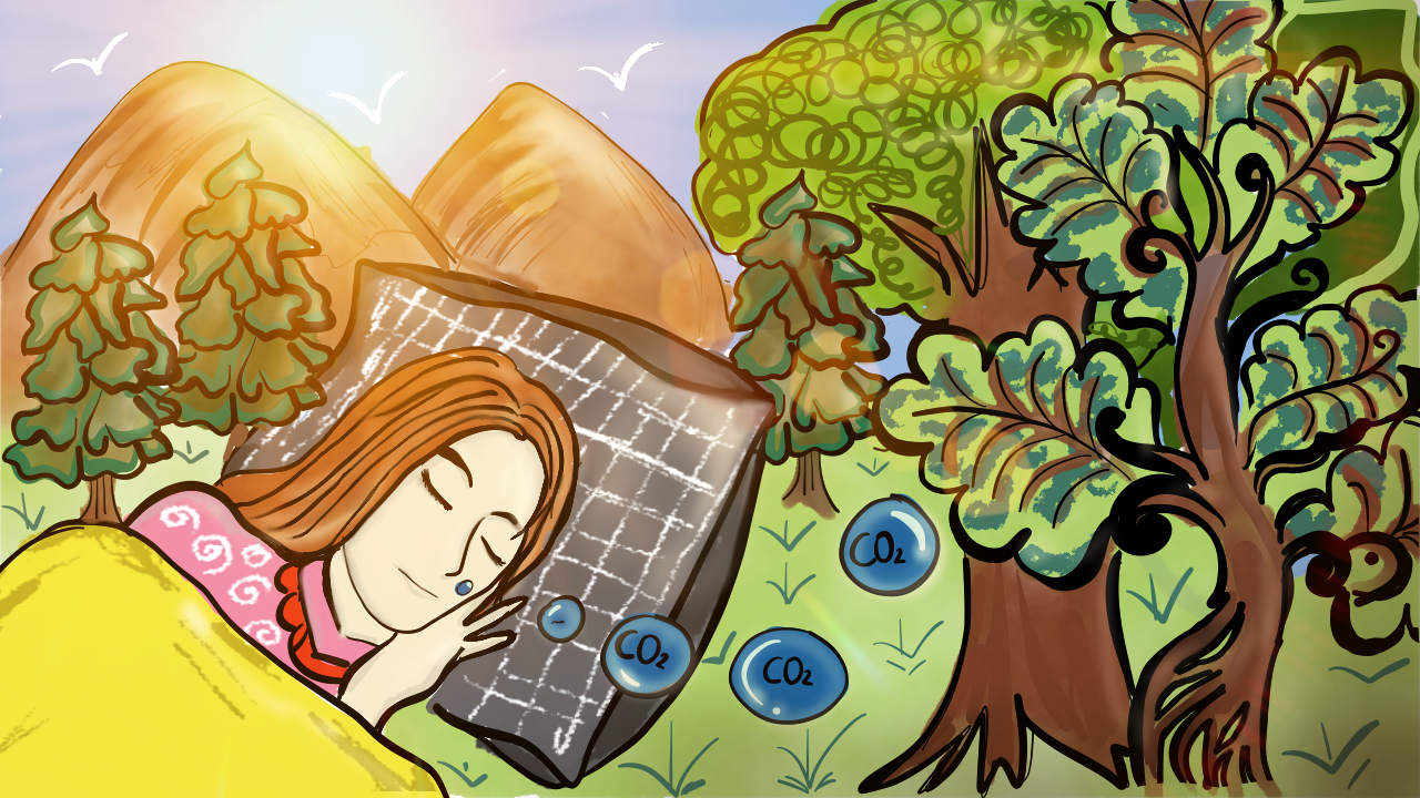 來源：廠商會蔡章閣中學5B 江淑娜 SHOMAILA同學 題目：《躺平也在碳排放》