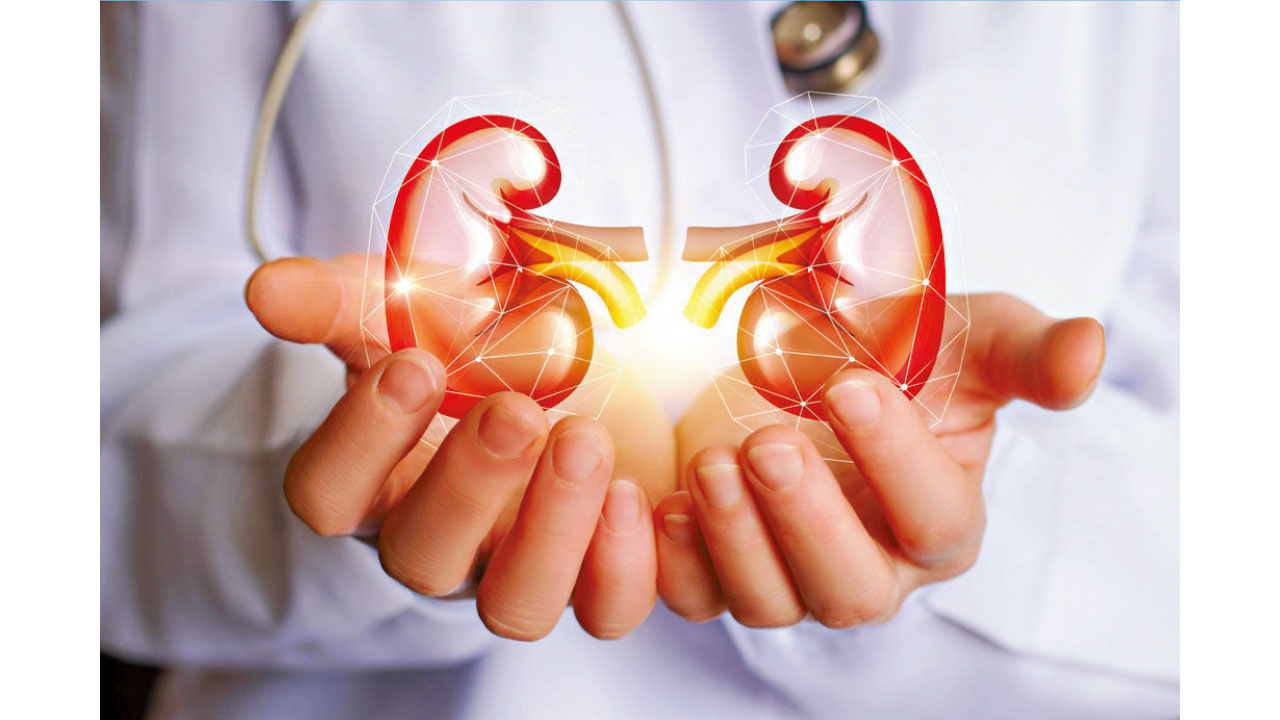 突破幹細胞功能界限 有望廣泛應用造福人類