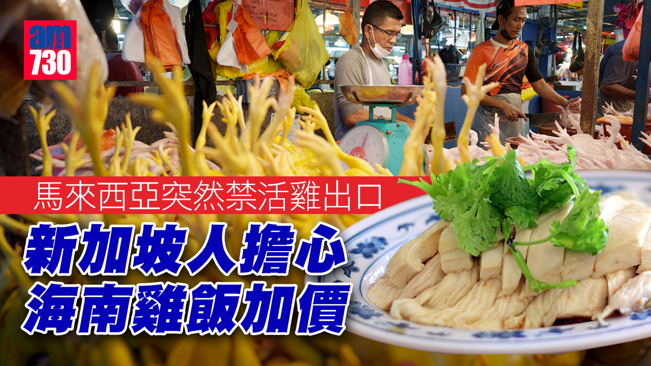 馬來西亞鬧「雞荒」禁活雞出口 新加坡人憂慮海南雞飯加價