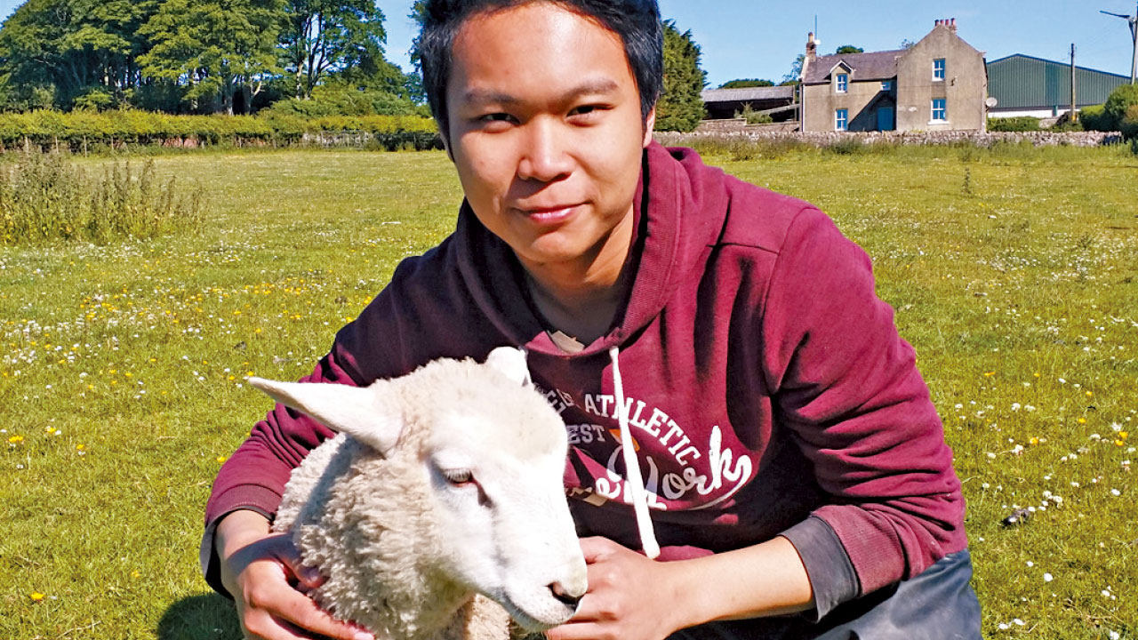 10歲耗5000元治愈倉鼠 港大生一個講座改變命運成準獸醫