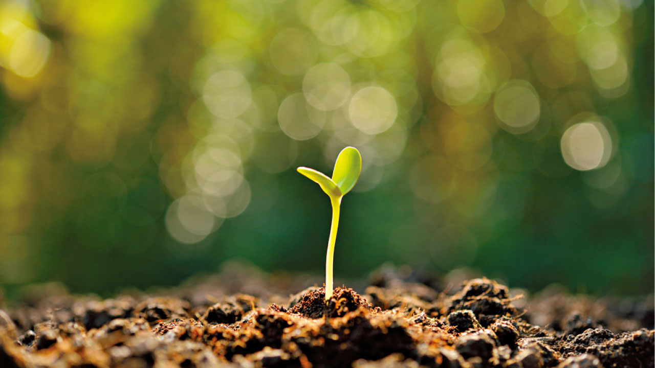 五行對應之 顏色及性格：己土