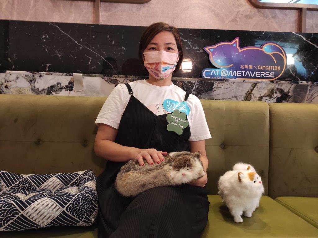 香港拯救貓狗協會︰疫情移民潮棄養貓狗增一倍