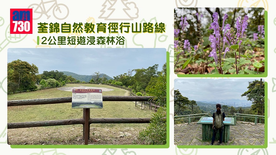 新手行山路線｜荃錦自然教育徑 2公里短遊浸森林浴