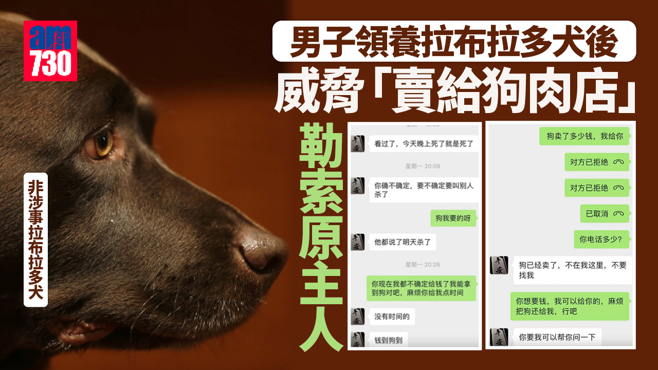 男子領養拉布拉多後威脅「賣給狗肉店」 勒索原主人3000元