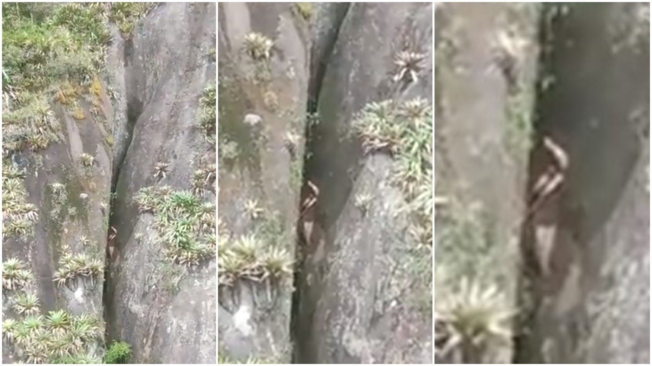 巴西少年離奇全裸墮91米山谷獲救。(Twitter)