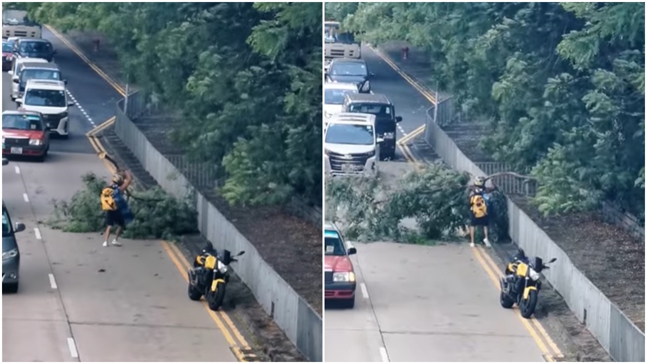 電單車手獨自搬開倒塌在行車線上的大型樹枝。(網片截圖)