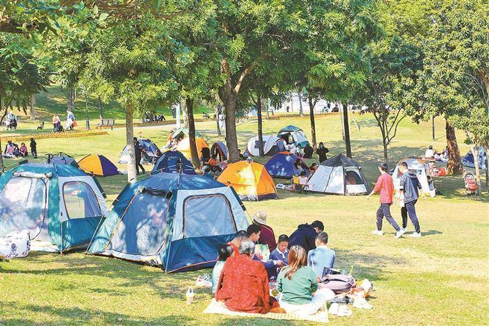 深圳所有公園擬禁止遊客在非指定地區搭帳篷。(互聯網)