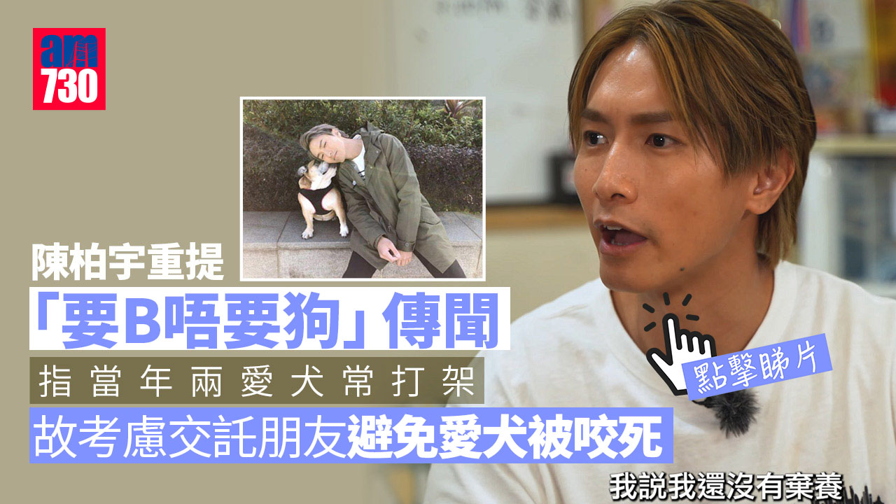 陳柏宇重提要B唔要狗傳聞 寵物交託好友好過被另一隻咬死 (有片)