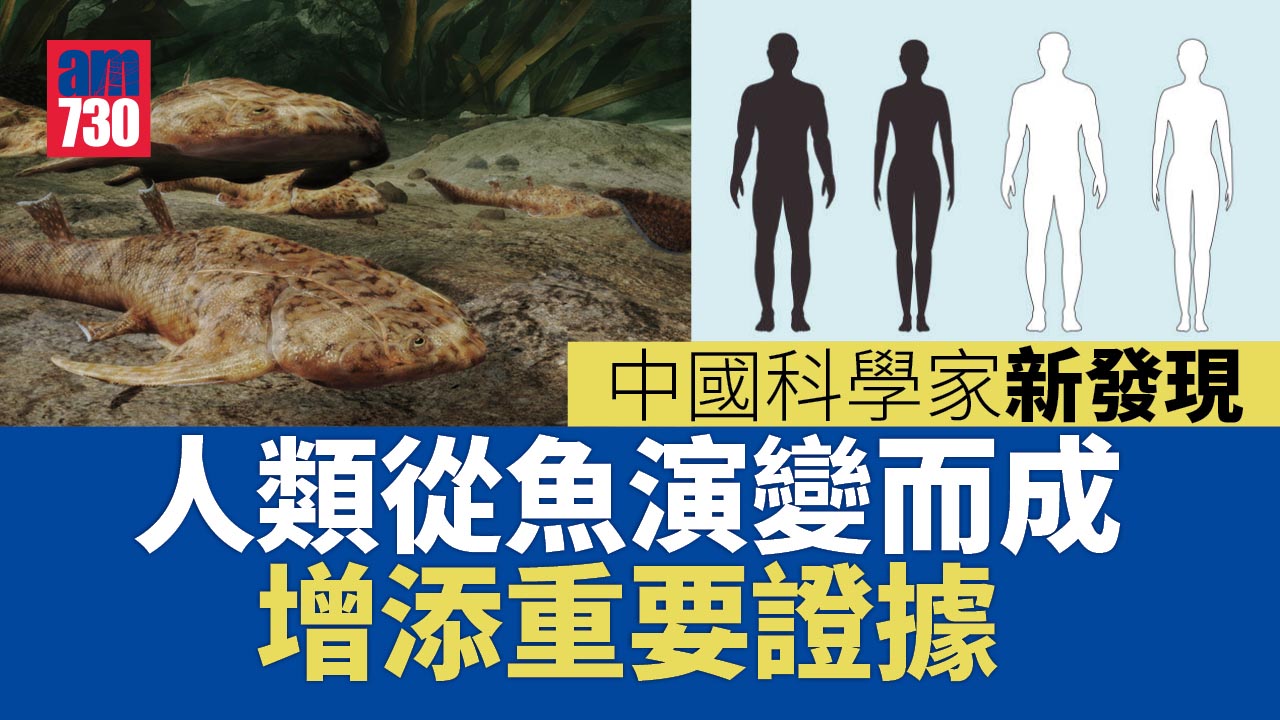 中國科學家新發現 為「人類從魚演化」添重要證據