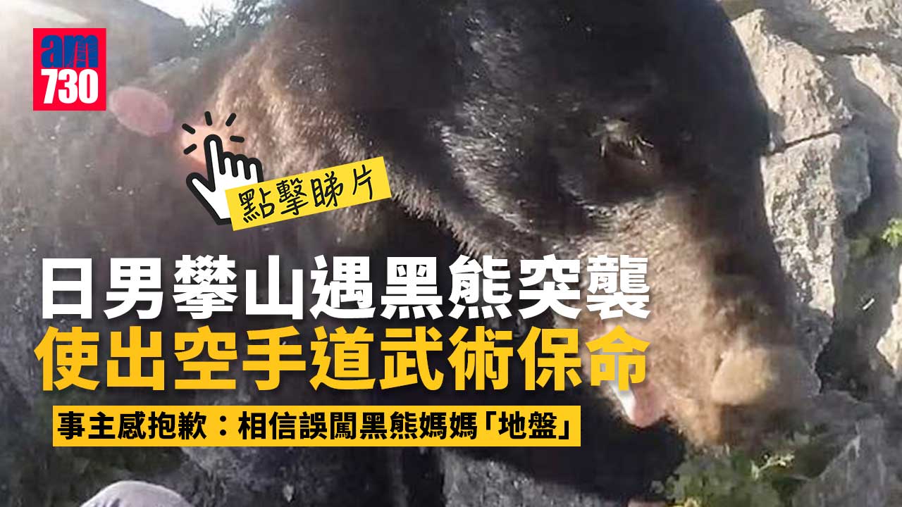 日男攀山遇黑熊突襲 揮拳腳踢驚險保命(有片)