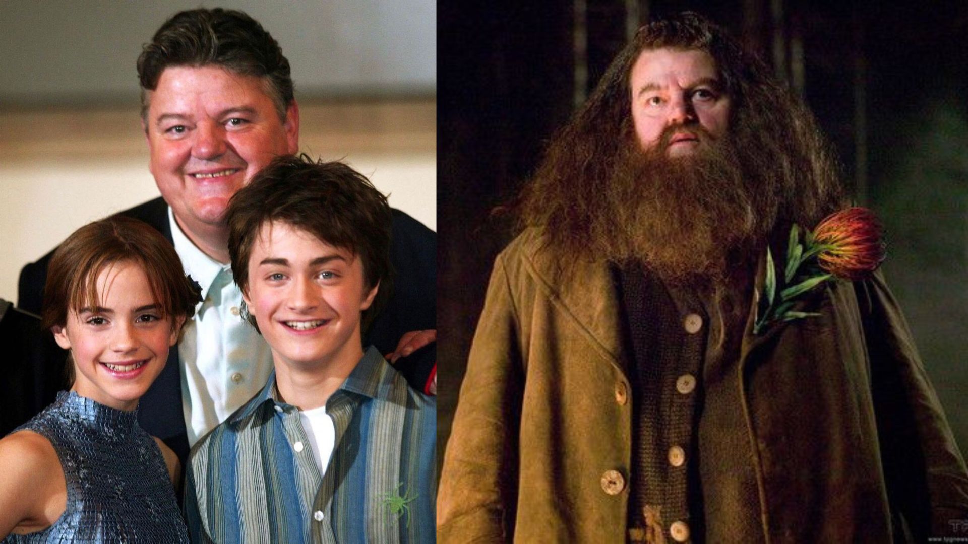 《哈利波特》海格Robbie Coltrane逝世 享年72歲