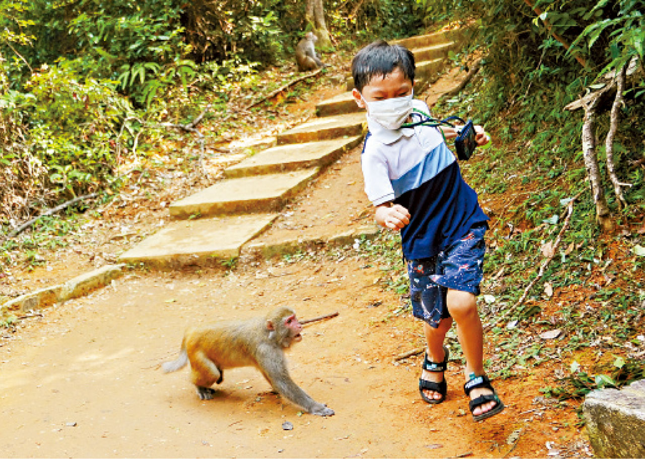 1884年以來最熱重陽 天文台昨錄得33.5度