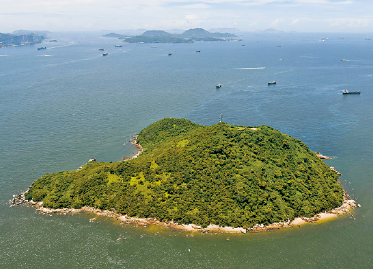 智庫促詳細規劃工程容量 環團憂填海影響生態