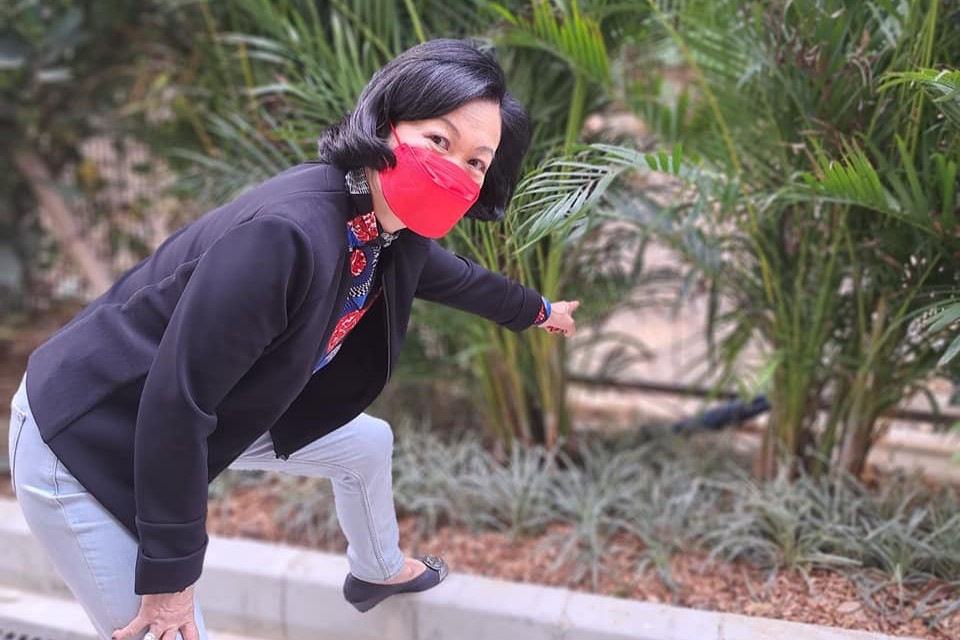 葉劉淑儀表示，菁田邨的草叢容易被老鼠匿藏，大大增加捕鼠難度。(葉劉淑儀FB)