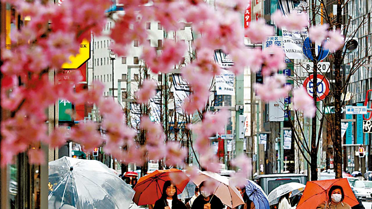 日本應以聯繫匯率作匯價止蝕