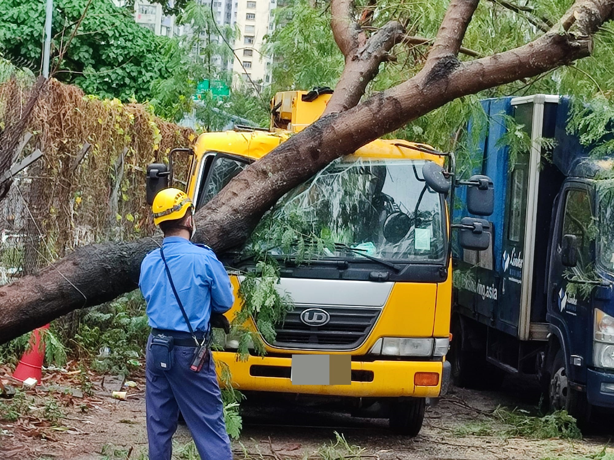 停泊在旁邊的工程車被塌樹壓中，車頭被壓扁，玻璃破裂。