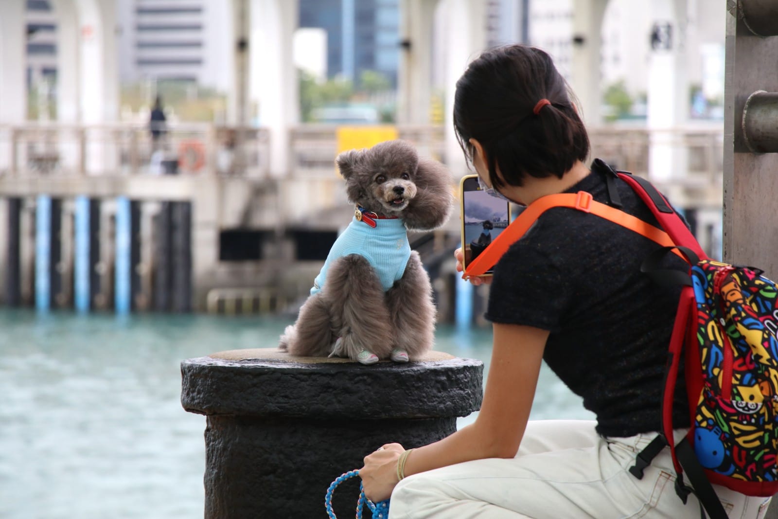在八號風球下，有市民帶同愛犬，在岸邊拍照。(林俊源攝)