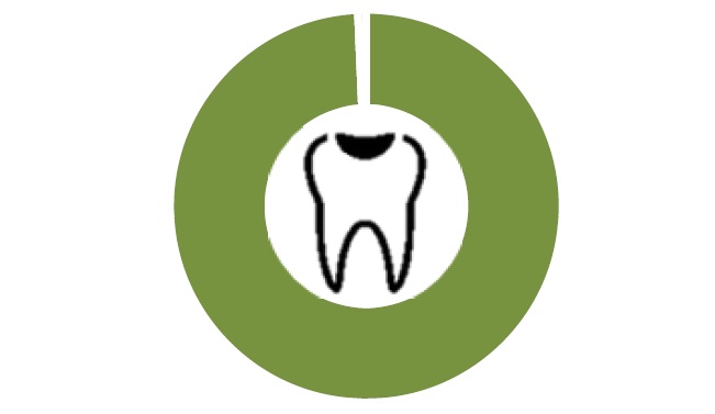 立法會秘書處研究 長者牙科服務不足 