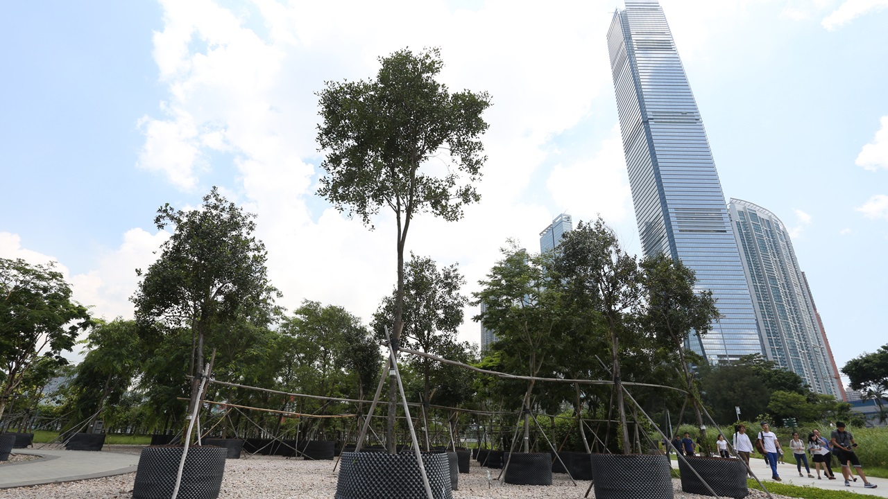 楊雪盈質疑建故宮文化博物館是架空民意