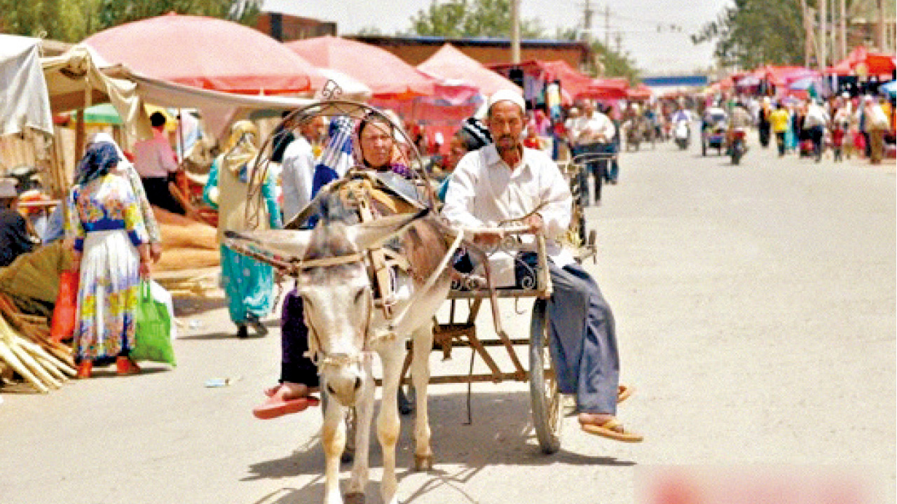 持刀闖屋苑亂斬  新疆皮山 暴力襲擊8死5傷