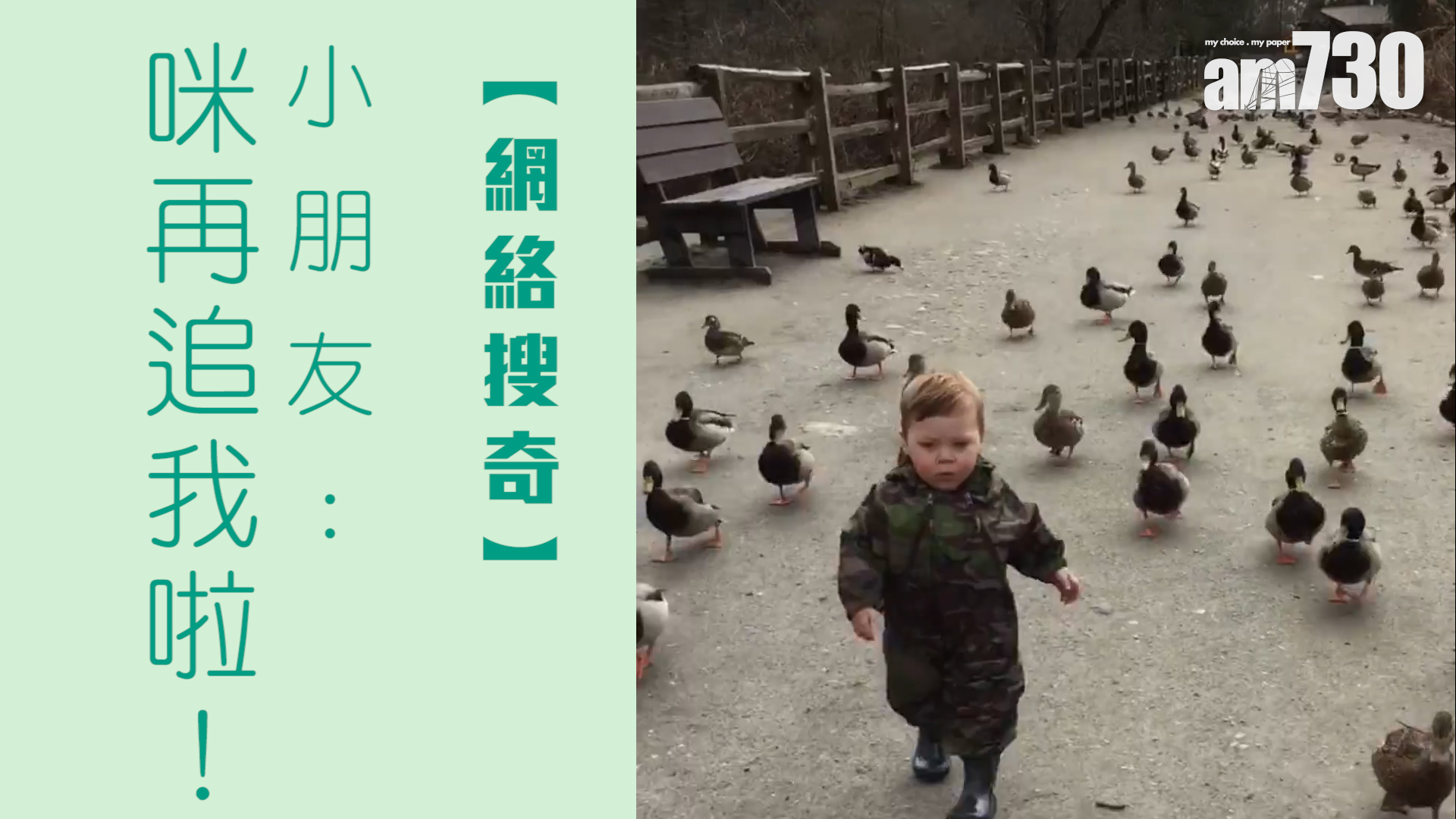 小朋友：咪再追我啦！