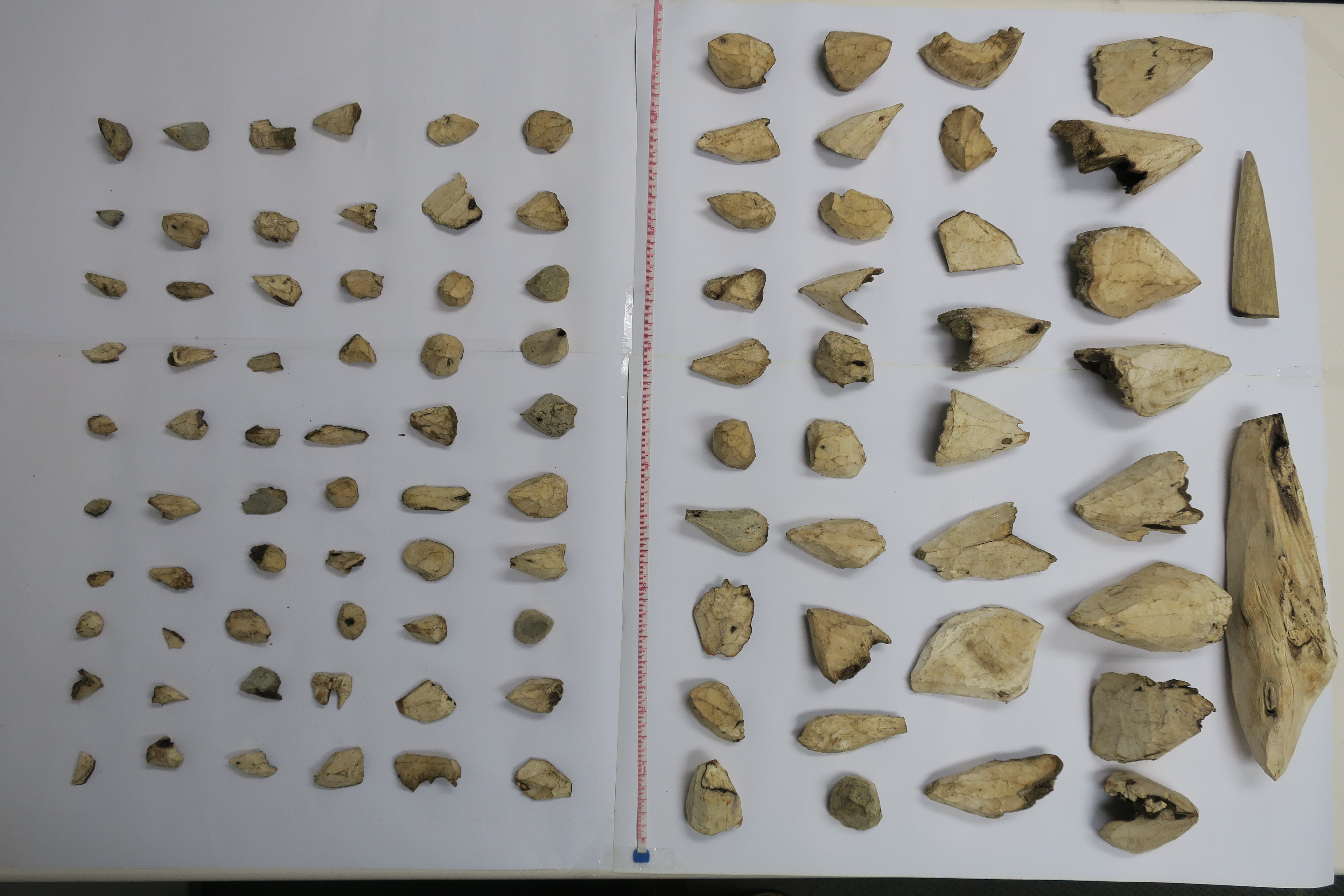 男旅客疑非法出口懷疑土沉香