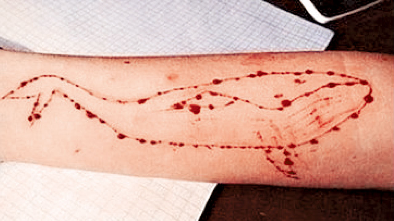 粵少年經營「藍鯨」遊戲群組被拘