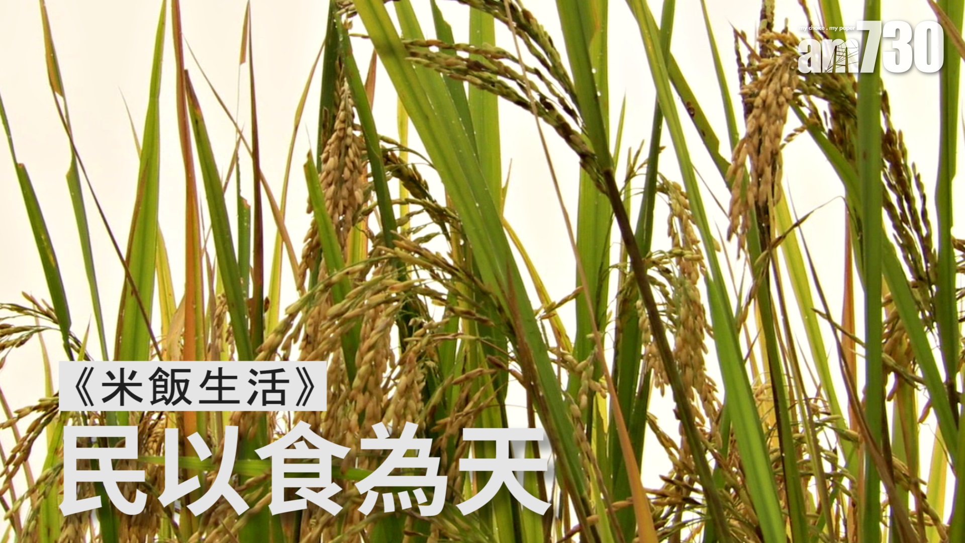 《米飯生活》民以食為天