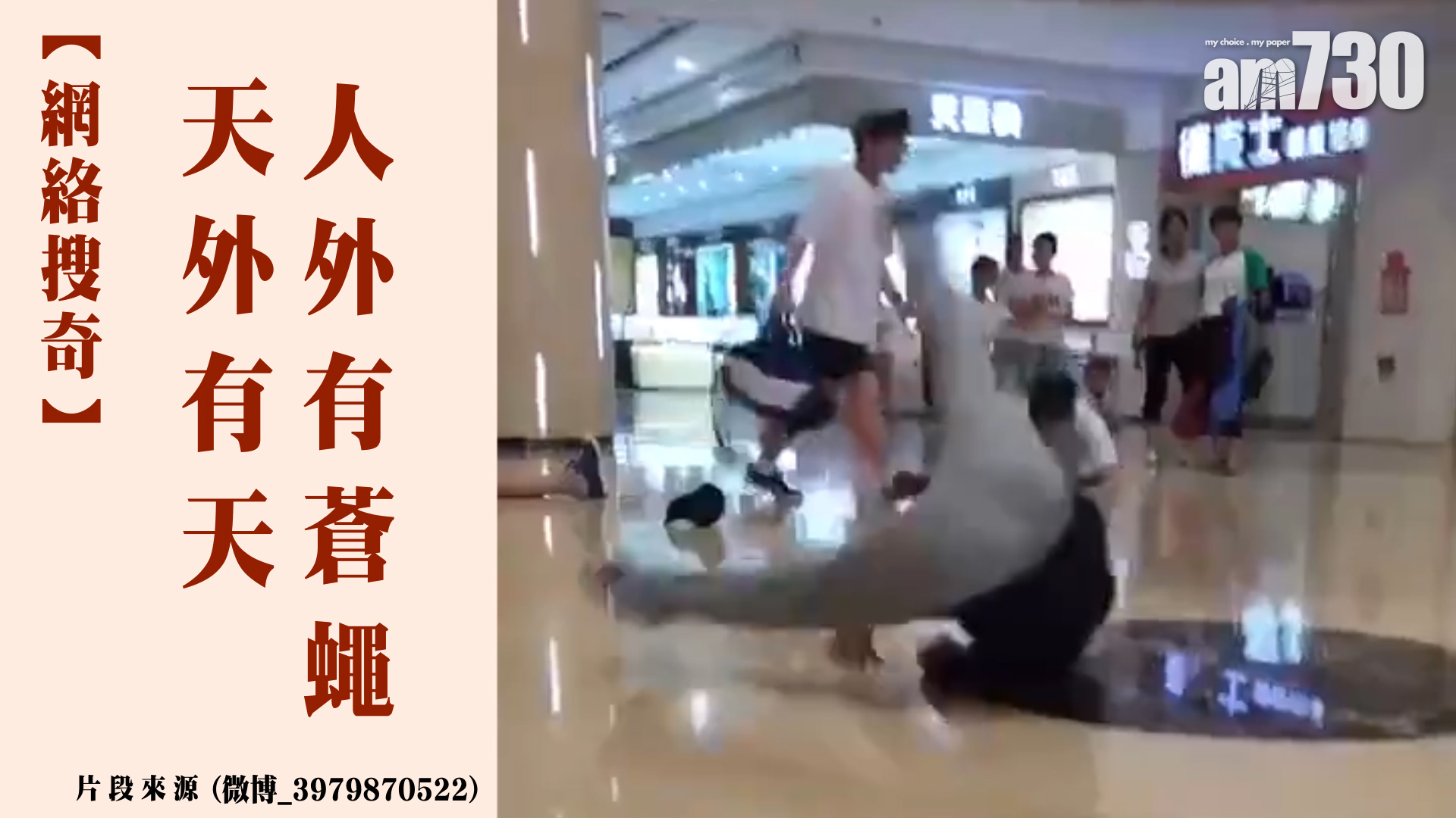 天外有天 人外有蒼蠅