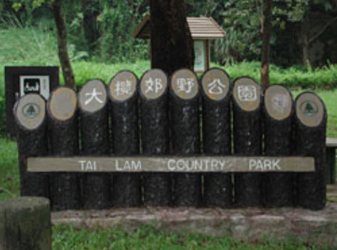 女子郊野公園踩單車撞樹亡