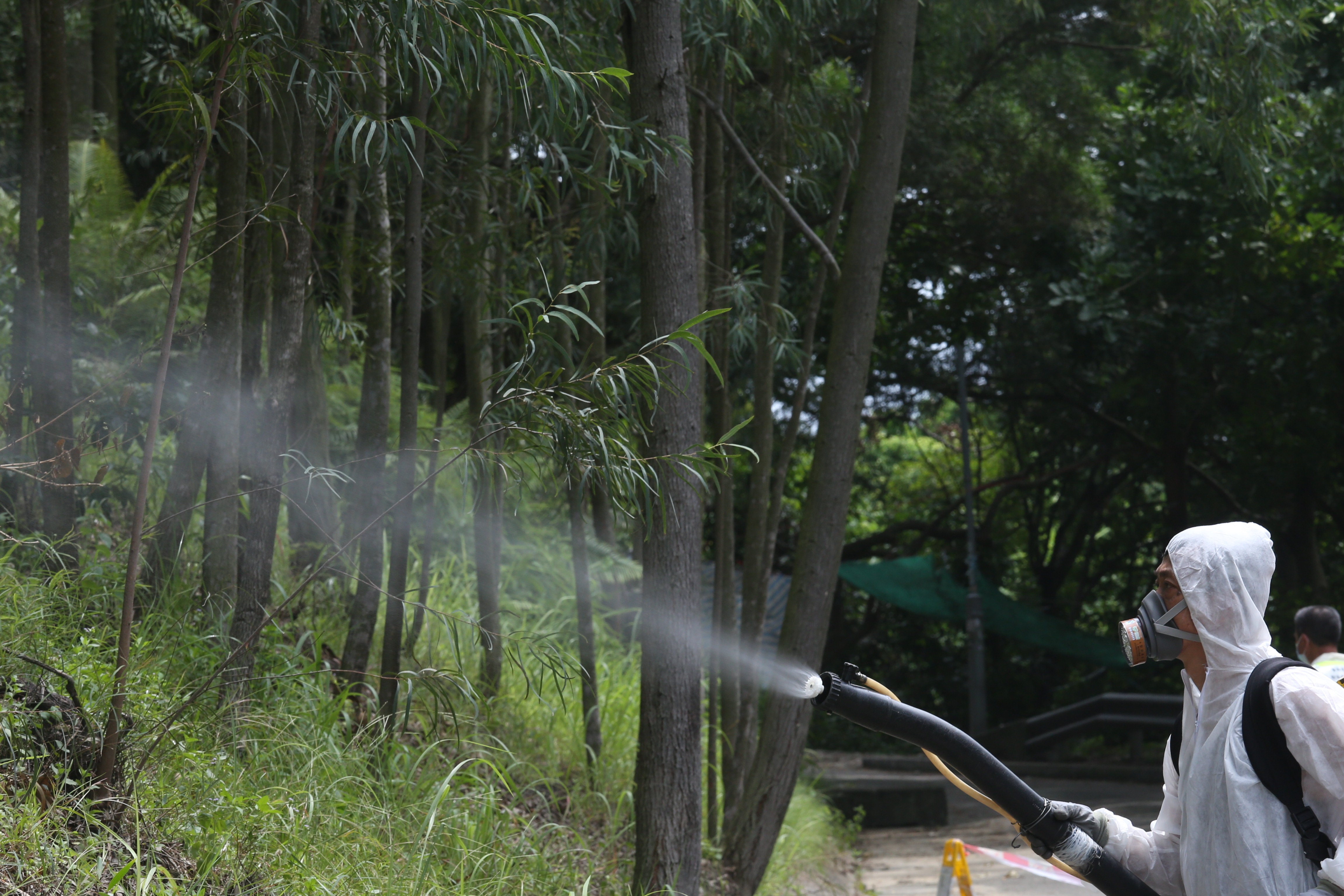 日本腦炎捐血者嘉湖山莊　居民稱不擔心