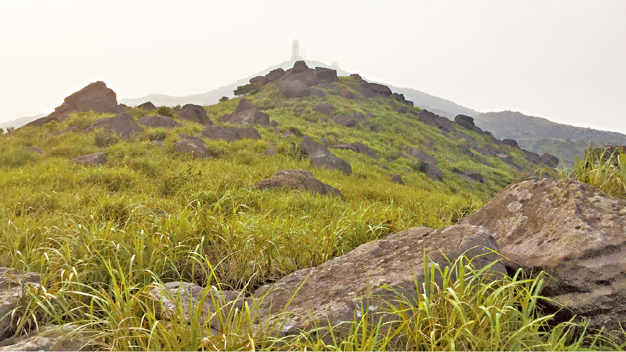 Hike~ 真假大帽遊 純天然登山之路