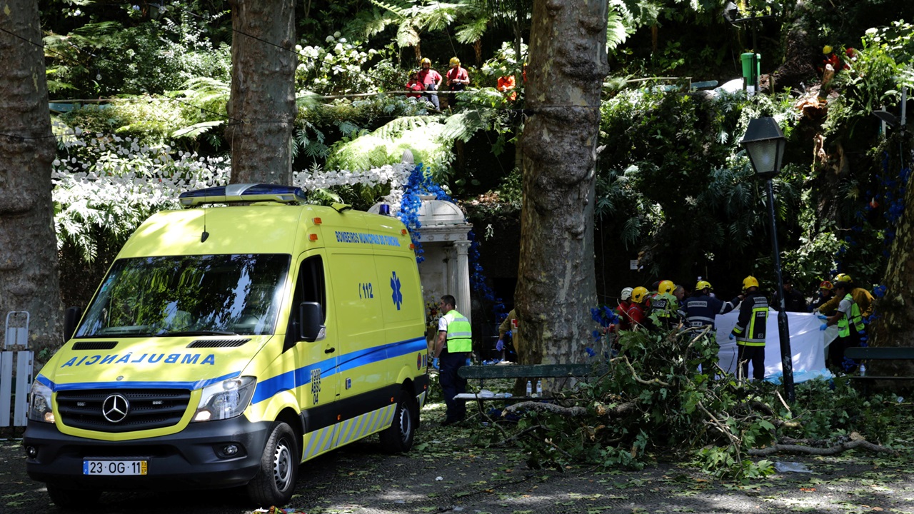 葡萄牙逾200年古樹倒塌致13死49傷