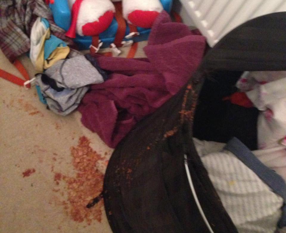 恐怖租客反轉成間屋 打爛廚櫃滿地血 