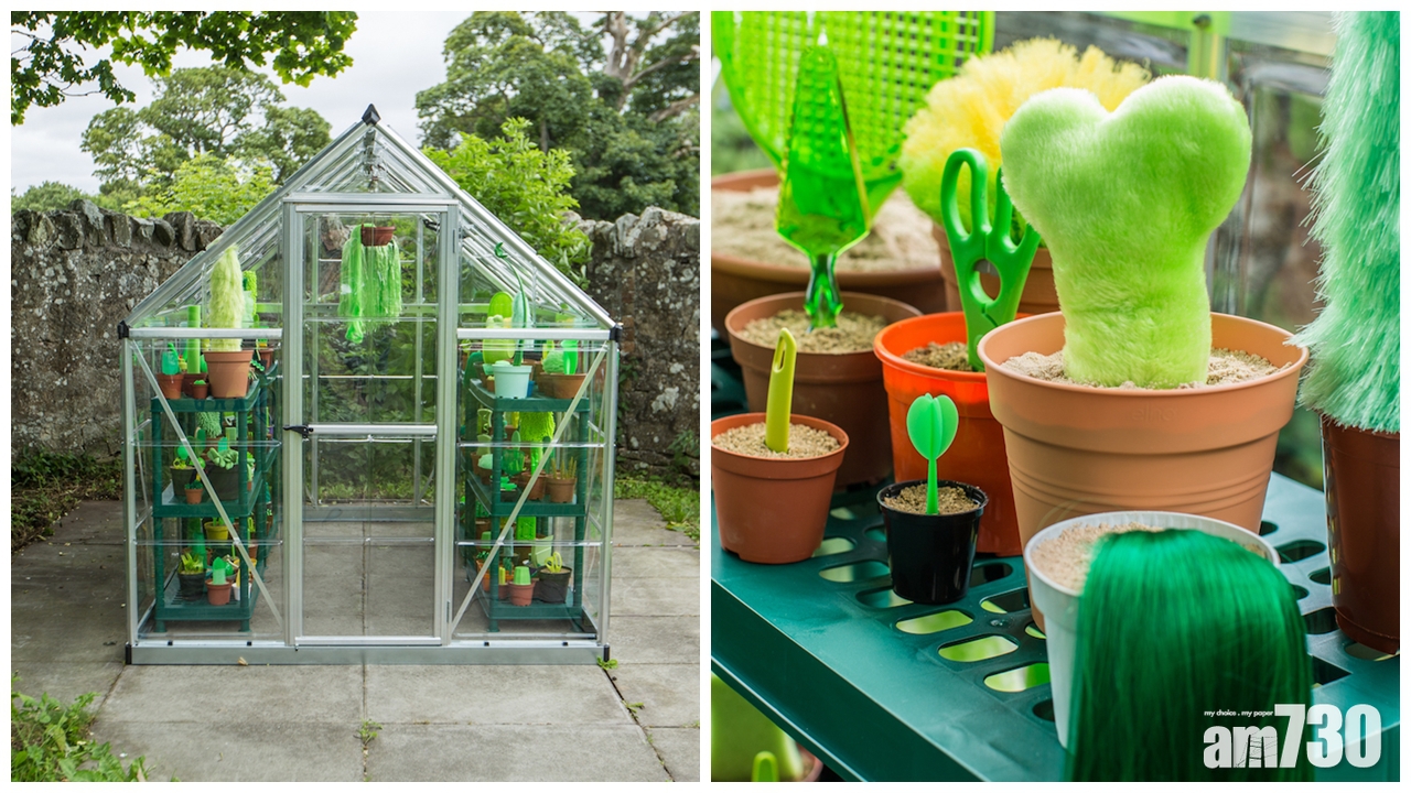 綠色溫室 睇真啲原來係……