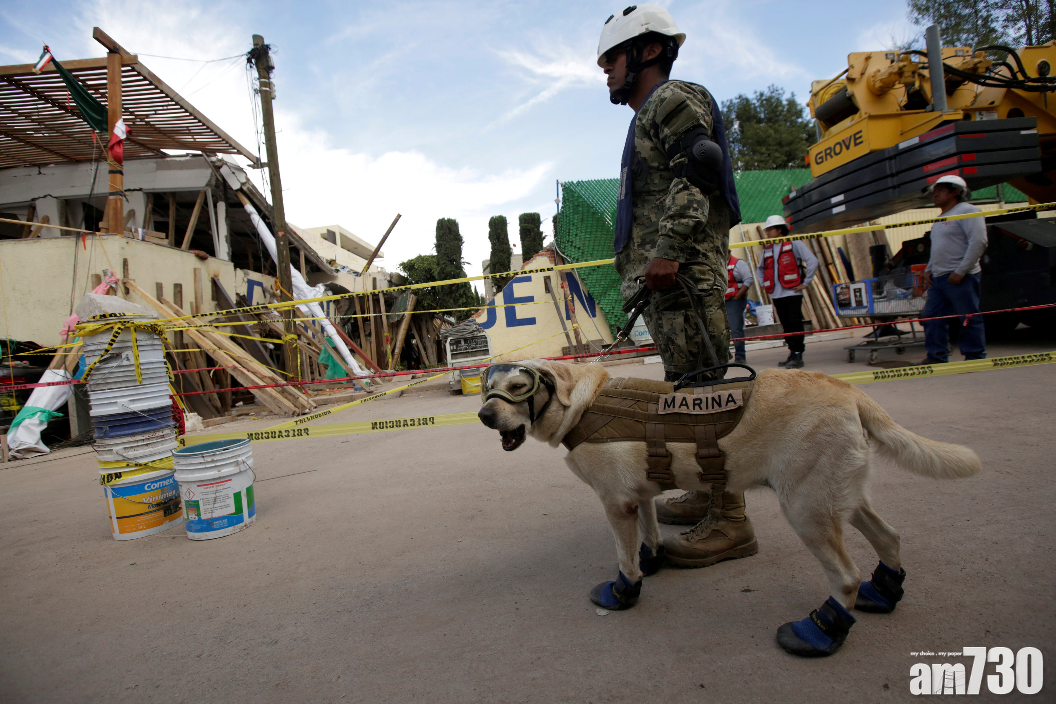 拉布拉多犬成墨地震英䧳