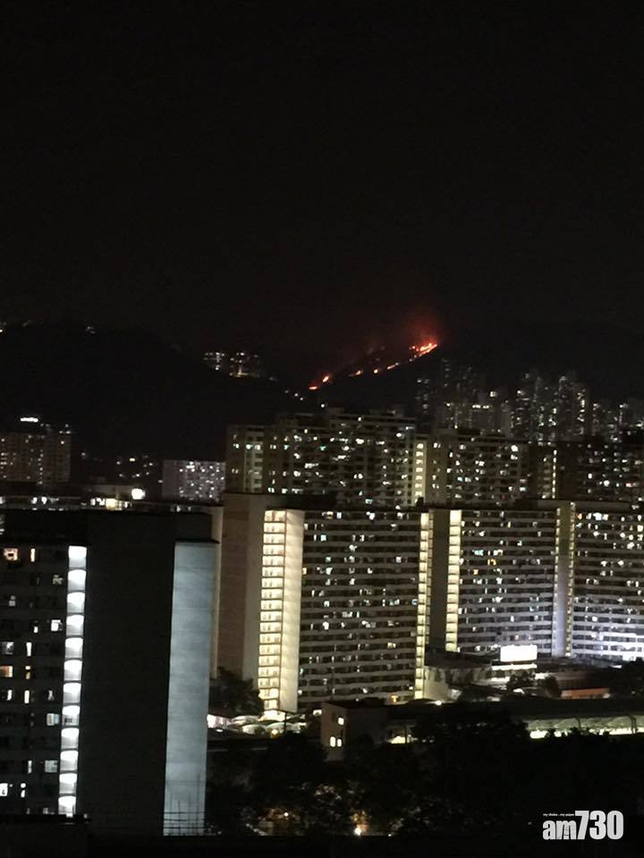 本港至傍晚 全日最少17宗山火