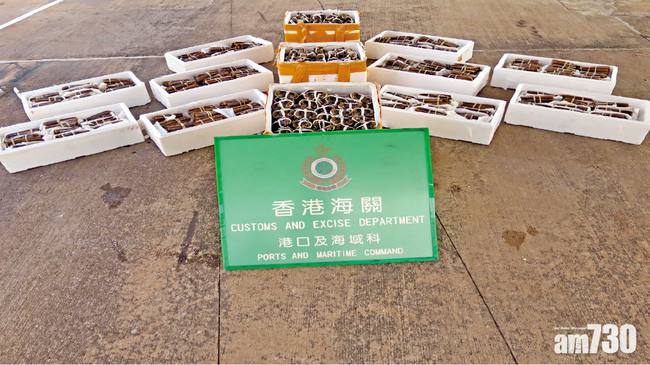 海關檢634隻懷疑走私大閘蟹