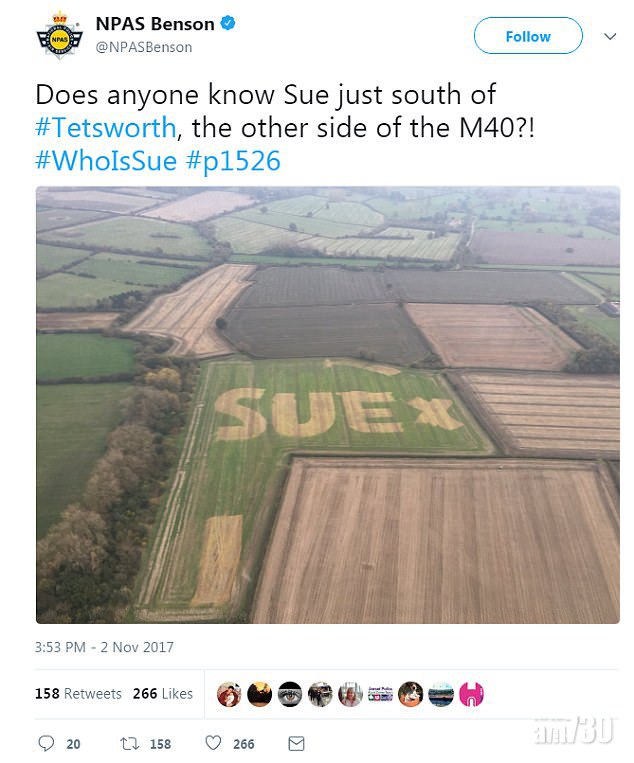 農田刻字給愛妻驚喜 卻被警方穿崩 