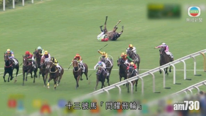 沙田馬場墮馬意外 馬匹死亡
