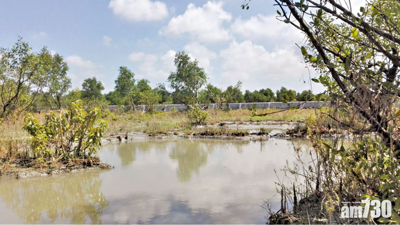 人權組織轟不宜居住 孟加拉擬送難民上荒島