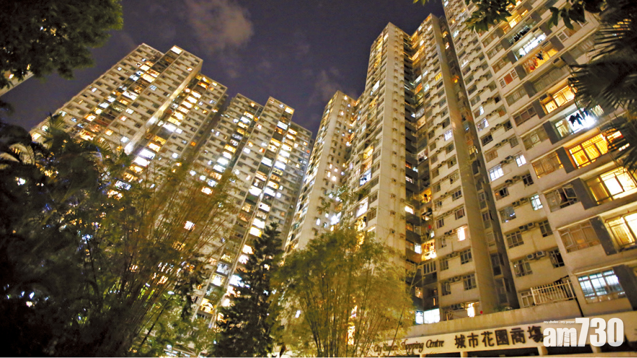 FB直播3童洗澡達17分鐘  外傭涉發布兒童色情物品被捕